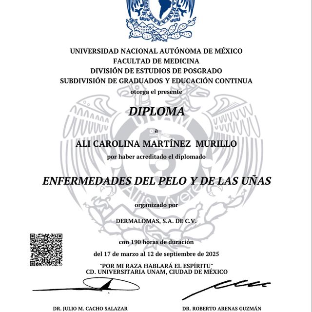 Ampliar imagen: certificate 2
