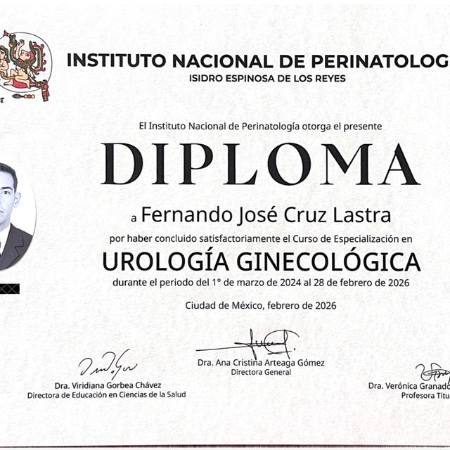 Ampliar imagen: certificate 2
