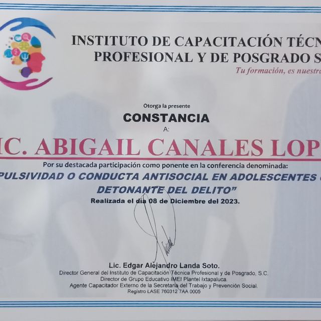 Ampliar imagen: certificate 17