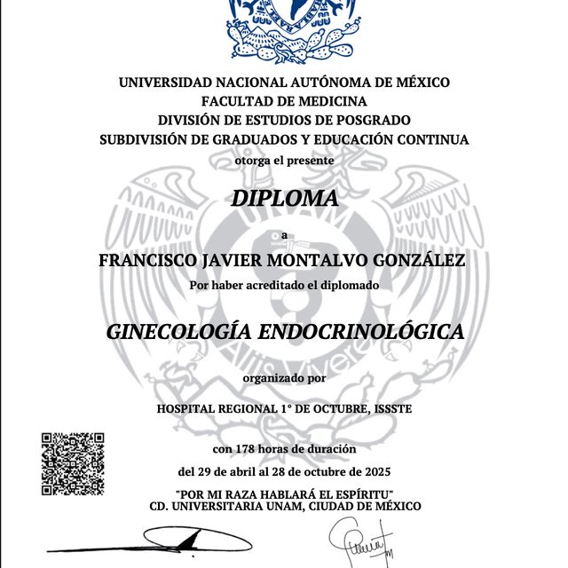 Ampliar imagen: certificate 3