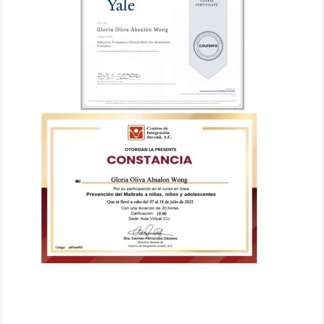 Ampliar imagen: certificate 4