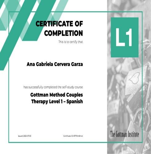 Ampliar imagen: certificate 1