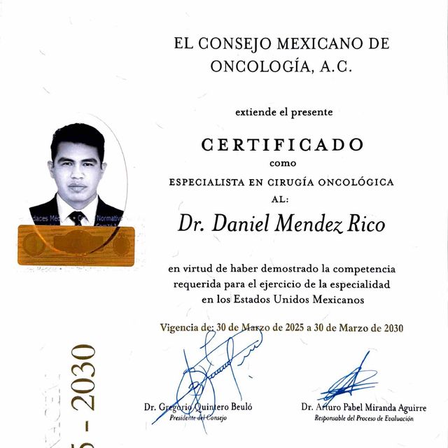 Ampliar imagen: certificate 2