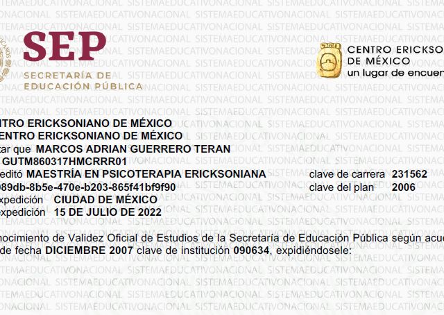 Ampliar imagen: certificate 3