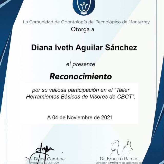 Ampliar imagen: certificate 3