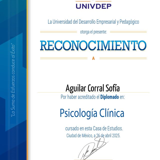 Ampliar imagen: certificate 2
