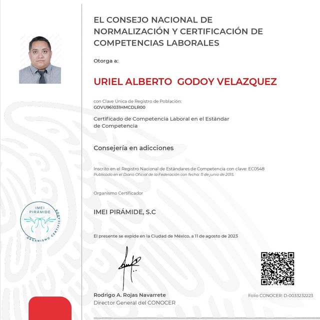Ampliar imagen: certificate 1
