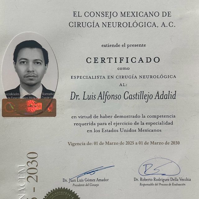 Ampliar imagen: certificate 5