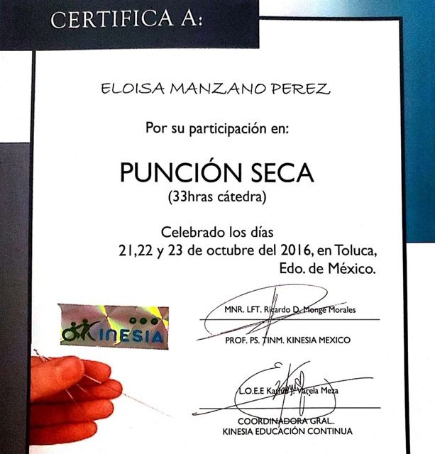 Ampliar imagen: certificate 5