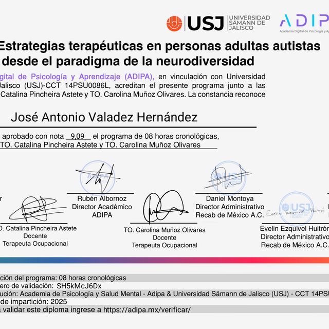 Ampliar imagen: certificate 3