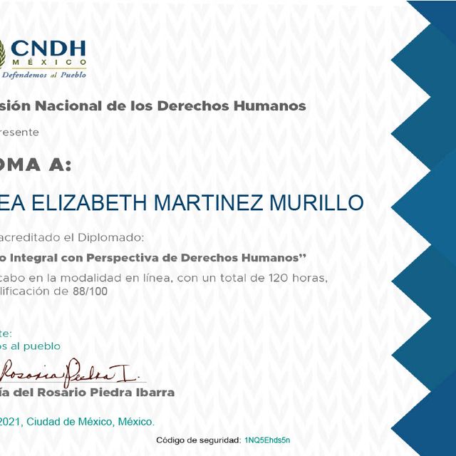 Ampliar imagen: certificate 24