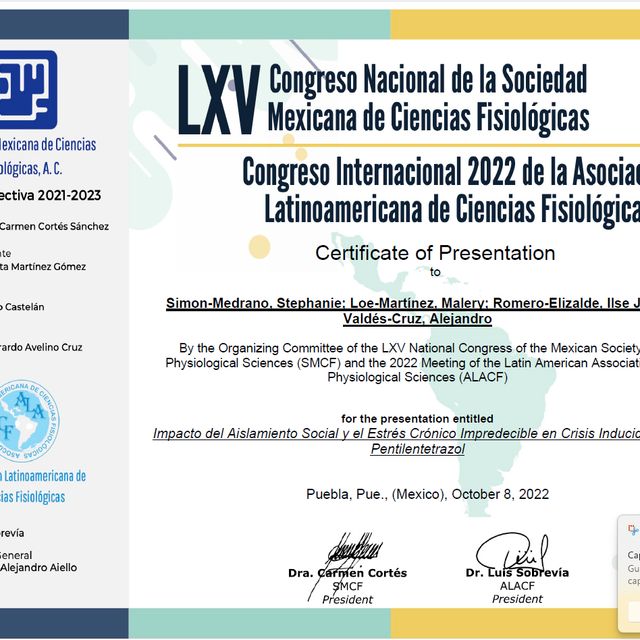Ampliar imagen: certificate 10