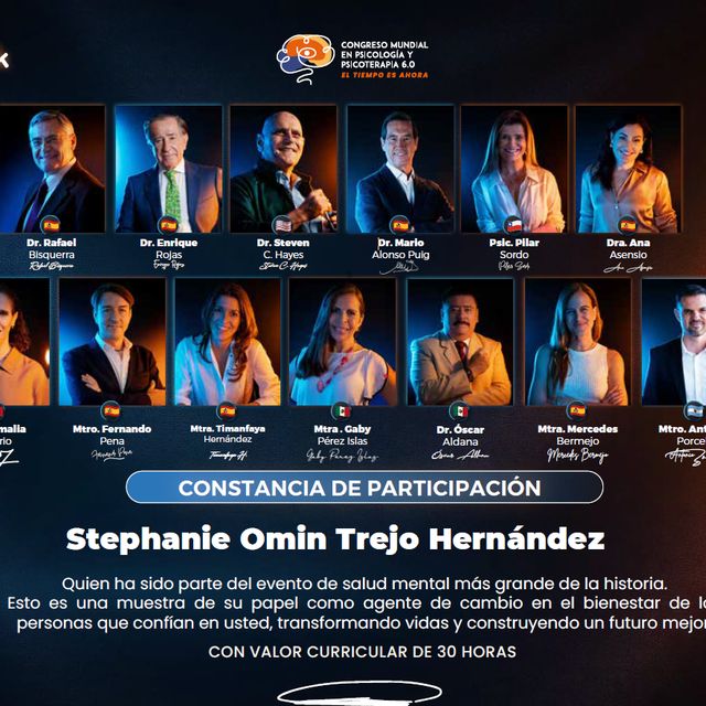 Ampliar imagen: certificate 7