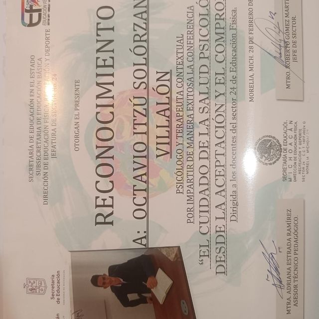 Ampliar imagen: certificate 5