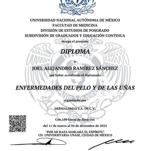Ampliar imagen: certificate 2
