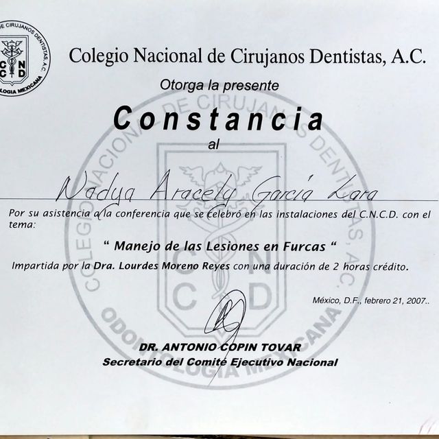 Ampliar imagen: certificate 7