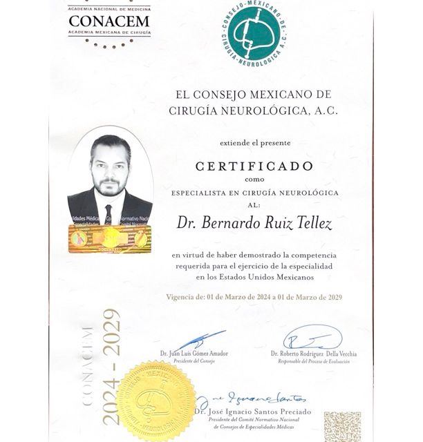 Ampliar imagen: certificate 1