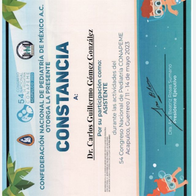 Ampliar imagen: certificate 29