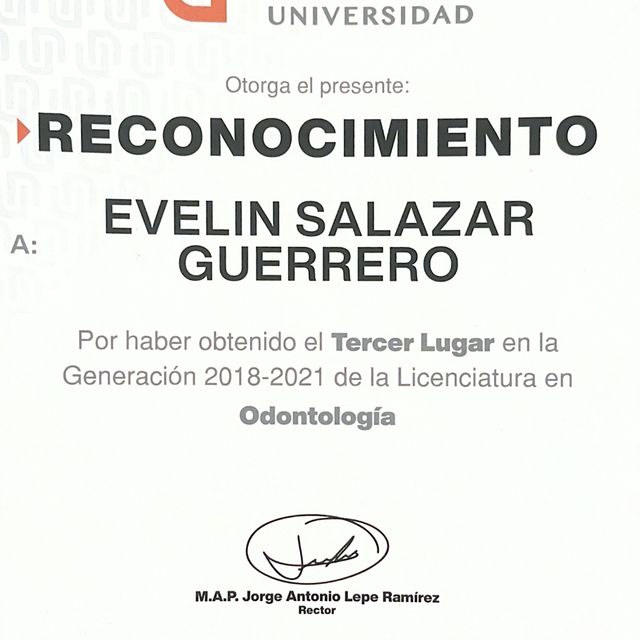 Ampliar imagen: certificate 6