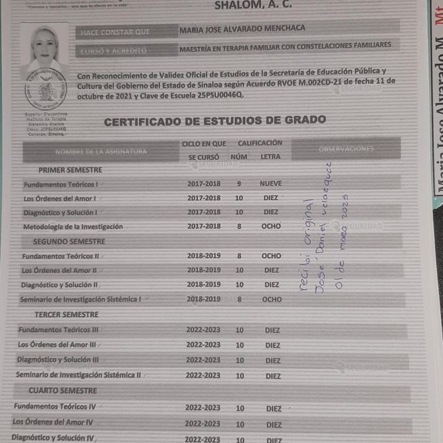 Ampliar imagen: certificate 7