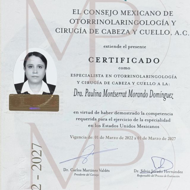 Ampliar imagen: certificate 3
