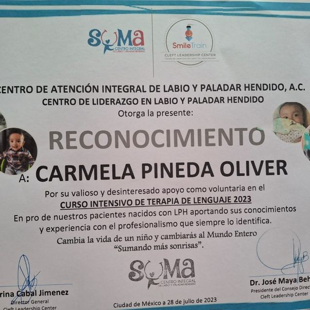 Ampliar imagen: certificate 5