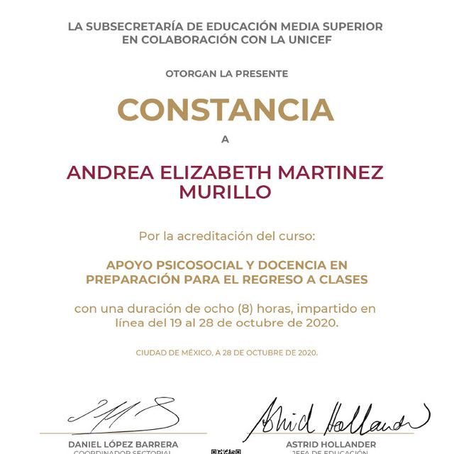 Ampliar imagen: certificate 14
