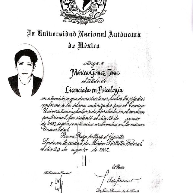 Ampliar imagen: certificate 1