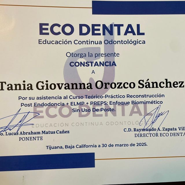 Ampliar imagen: certificate 2