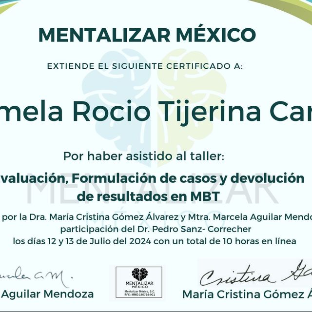Ampliar imagen: certificate 5