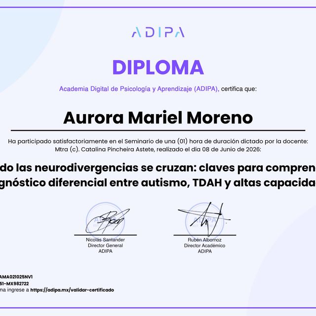 Ampliar imagen: certificate 4