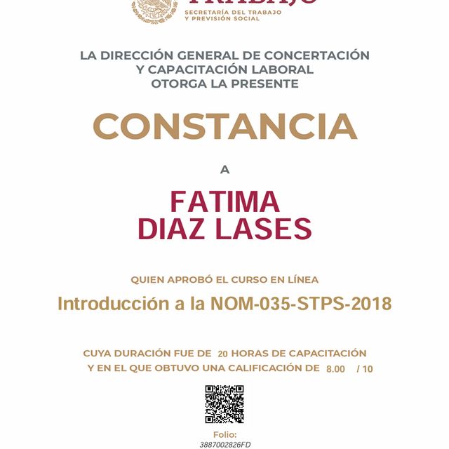 Ampliar imagen: certificate 5