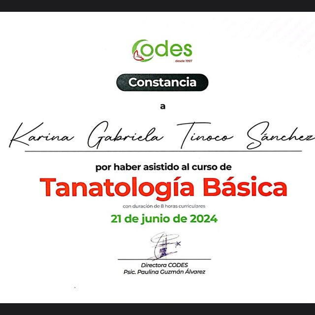 Ampliar imagen: certificate 1