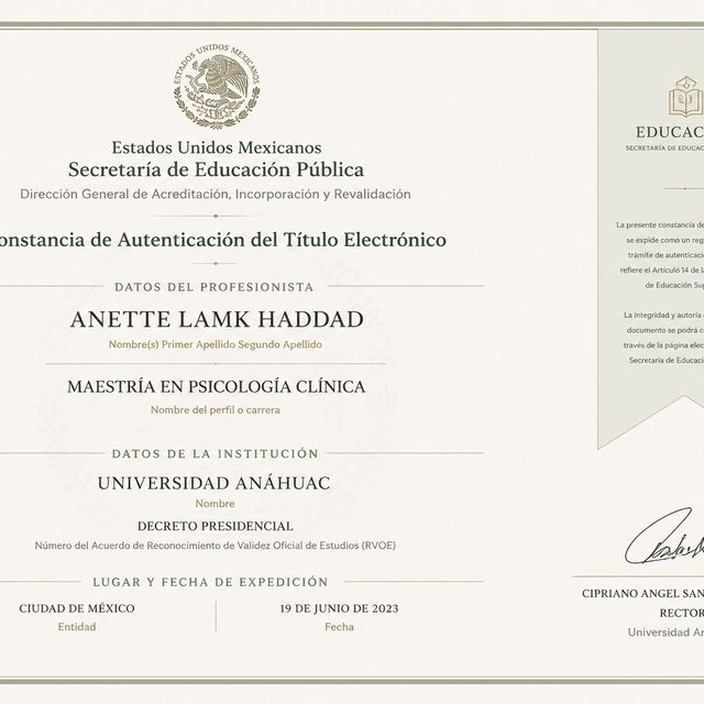 Ampliar imagen: certificate 1