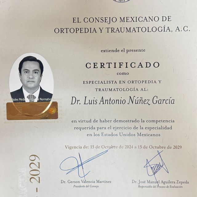 Ampliar imagen: certificate 1