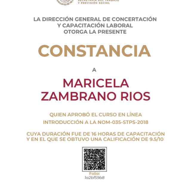 Ampliar imagen: certificate 6