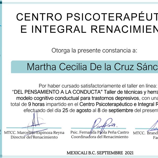 Ampliar imagen: certificate 9