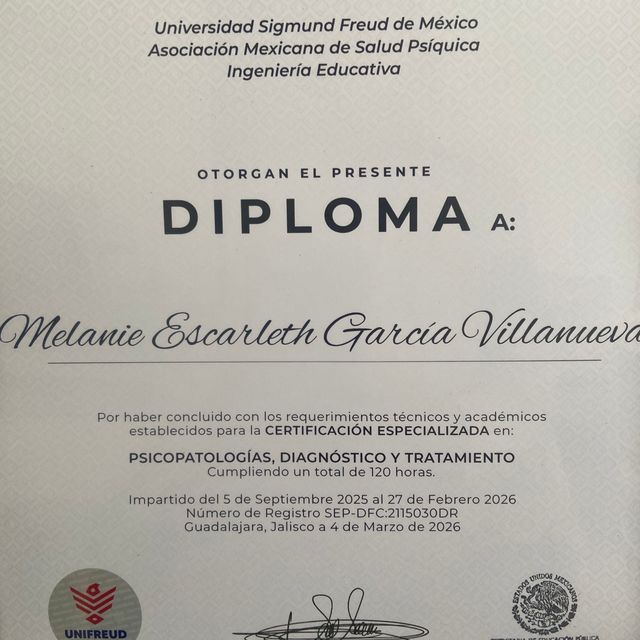 Ampliar imagen: certificate 3