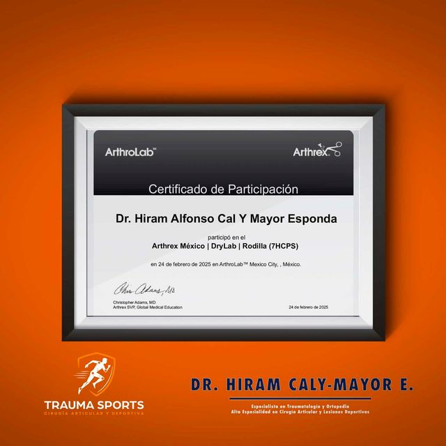 Ampliar imagen: certificate 8