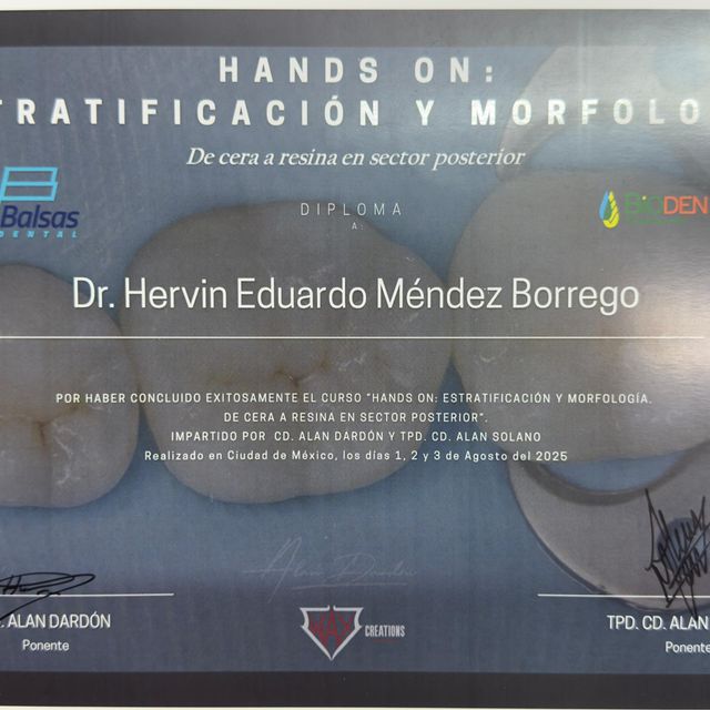 Ampliar imagen: certificate 5