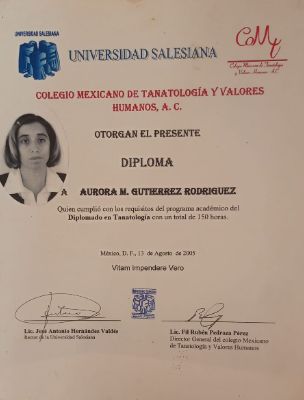 Ampliar imagen: certificate 2