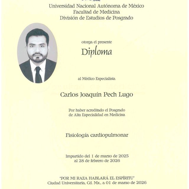 Ampliar imagen: certificate 6