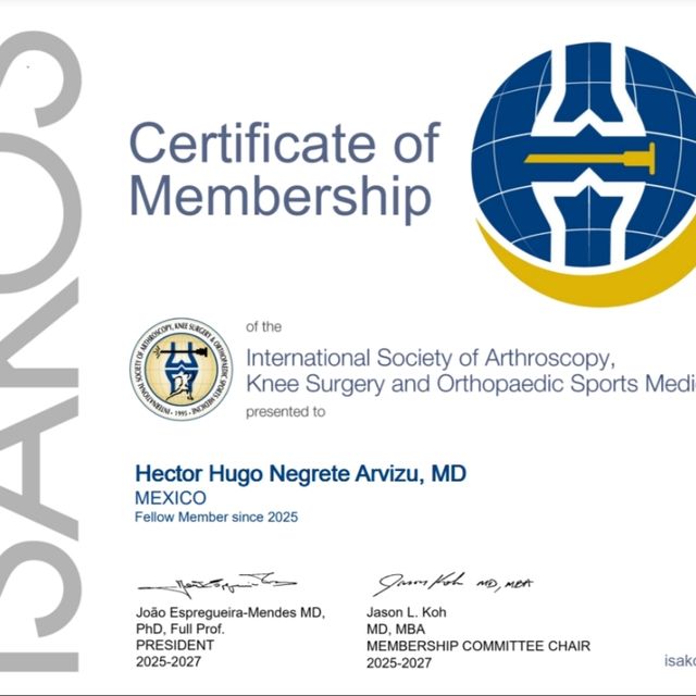 Ampliar imagen: certificate 5