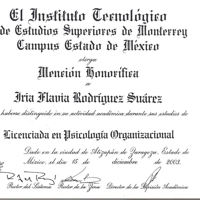 Ampliar imagen: certificate 2