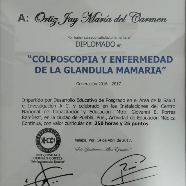 Ampliar imagen: certificate 2