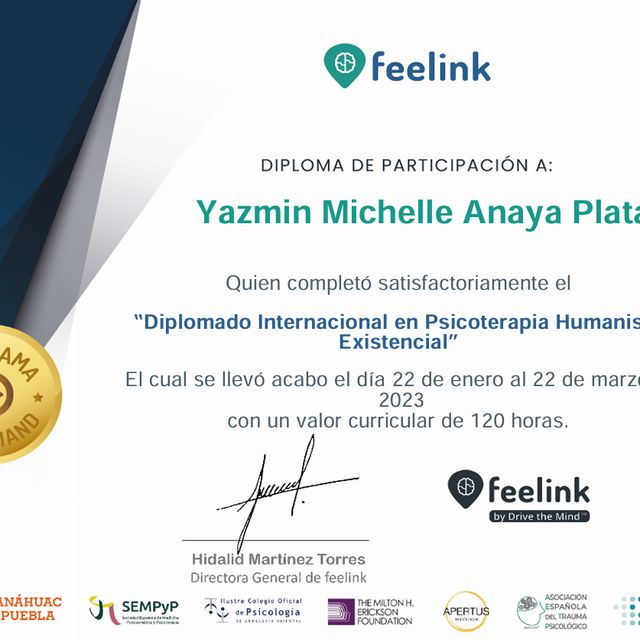 Ampliar imagen: certificate 2