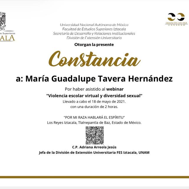 Ampliar imagen: certificate 26