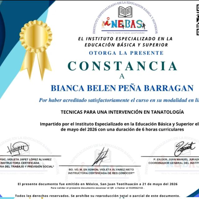 Ampliar imagen: certificate 23
