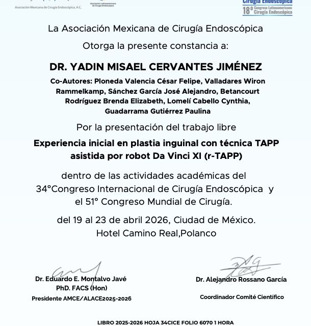 Ampliar imagen: certificate 3