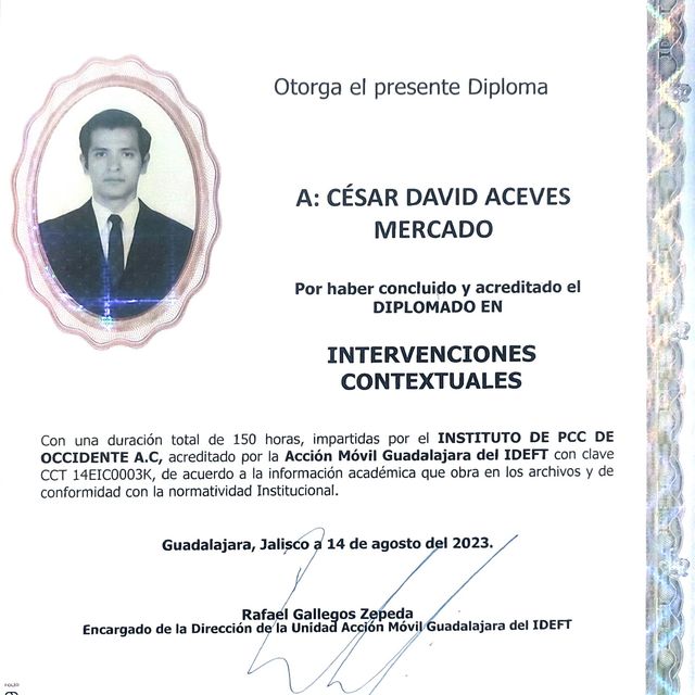 Ampliar imagen: certificate 2